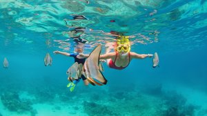 Maldives snorkeling 